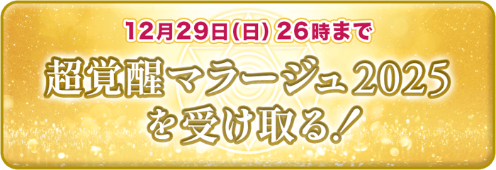12月29日(日)26時まで