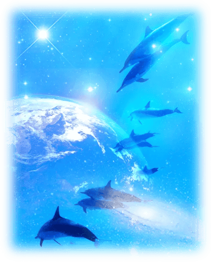 dolphins